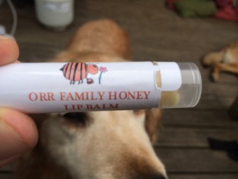 Caleb Orr, a rising Saxe Middle School sixth-grader, designed the logo for Orr Family Honey lip balm. The family moved upwards of 400 units while vacationing on Block Island this summer. credit: Michael Dinan
