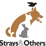 Strays & Others has operated as a New Canaan nonprofit for 29 years. 