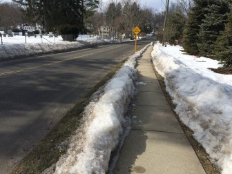 Ousted from the Lakeview Cemetery across the street, dog owners are walking their pets along this sidewalk—but not picking up after them, police say. Credit: Michael Dinan