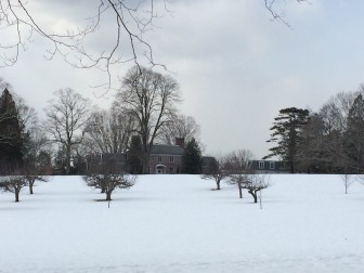 Thanks to the New Canaan Garden Club, the hill beyond these fruit trees, in front of the main house at Irwin Park, will feature 5,000 daffodils this spring. Credit: Michael Dinan