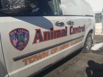 The New Canaan Police Department's Animal Control unit vehicle. Credit: Michael Dinan