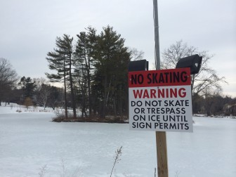There's been no ice skating at Mead Pond this winter. Credit: Michael Dinan