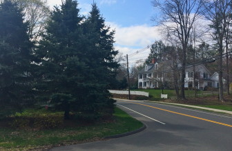 These seem to be the trees at the corner of Down River Road and Main Street that are causing sightline concerns for motorists, according to town officials.