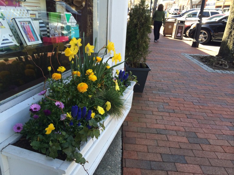 This container garden outside of Papyrus on Elm Street is Geiger's work. The company does this type of planting for businesses all over downtown New Canaan and in other Fairfield and Westchester towns.