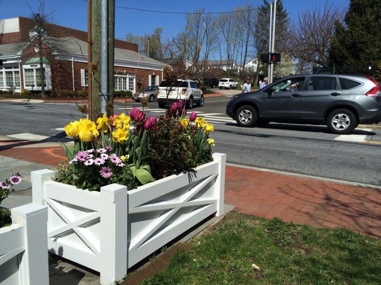The container gardens outside of Mrs. Green's at the corner of Park and Pine Streets are Geiger's work.