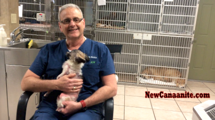 VIDEO: Abandoned Puppy ‘Señor’ Well-Loved at New Canaan Vet ...