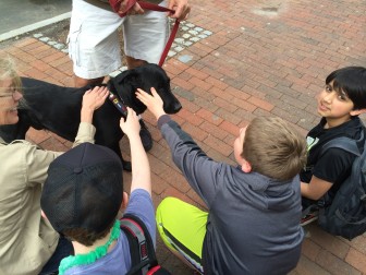 During our interview, some New Canaan kids came by and politely asked for permission to pet Everett.