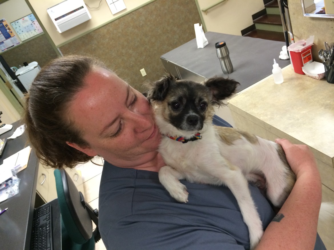 New Canaan Week in Review ABC, C&C, ‘Bitz’ with a Z