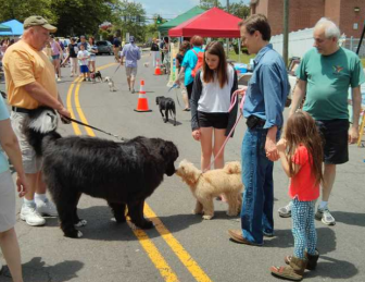 From 2013 New Canaan Dog Days, presented by Village Critter Outfitter and Aetheria Relaxation Spa, both on Cherry Street. Contributed