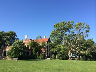 The prominent, iconic maple tree behind Waveny House appears to be dying and the Family Fourth Committee is preparing to make sure there's always a nice tree there for park-goers to enjoy. Credit: Michael Dinan