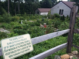 Here's the "Gospel Garden" at at St. Mark's Episcopal Church, where are grown the fresh vegetables available at the New Canaan Food Pantry. Credit: Michael Dinan