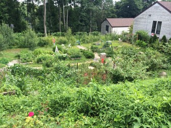 The Gospel Garden's crops include veggies for the food pantry as well as plenty of flowers for services at St. Mark's. Credit: Michael Dinan