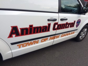 Animal Control