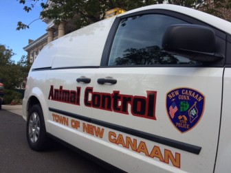 The New Canaan Police Department Animal Control van. Credit: Michael Dinan