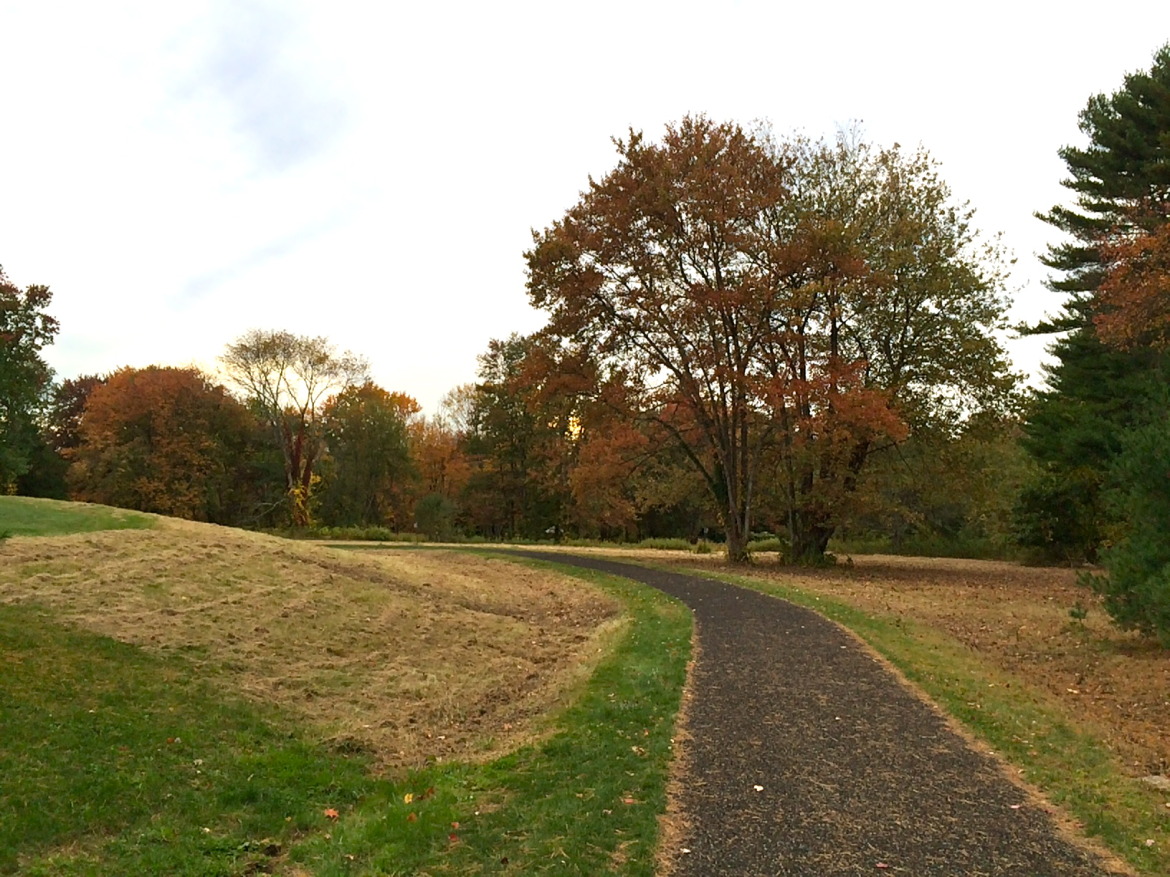 Wildflower Power: New Canaan Garden Club Plans a 'Mose Meadow' for