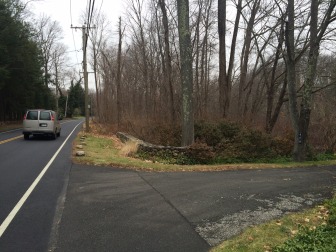 The driveway at 929 Weed St. The New Canaan Land Trust owns parcels on either side of it. Credit: Michael Dinan