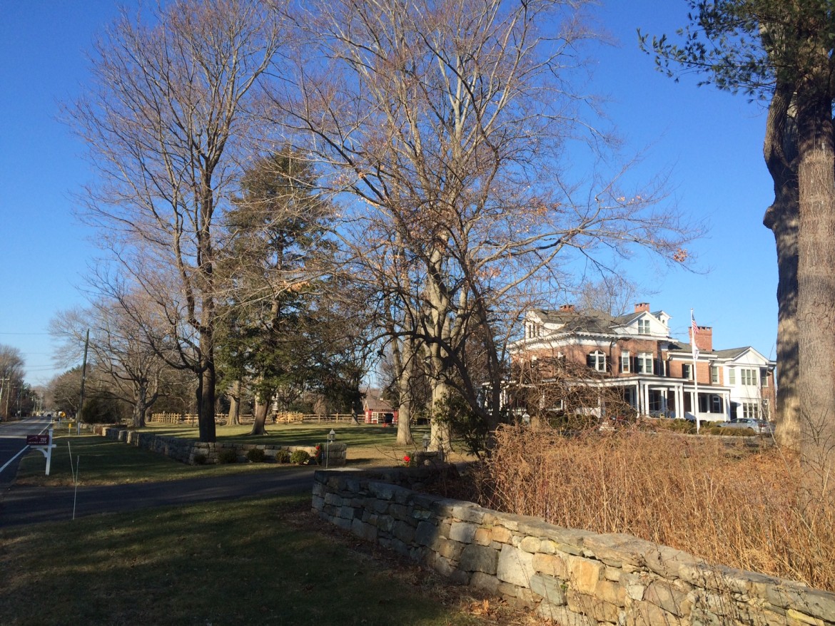 Crajah House The Alpacas of Oenoke Ridge