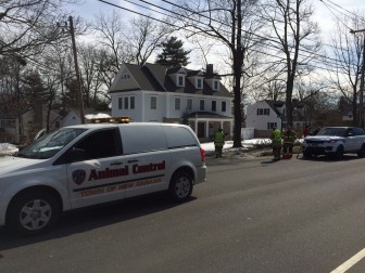 Scenes from an accident involving a New Canaan Animal Control van on Friday, March 13, 2015. Credit: Michael Dinan