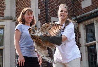 The owl released Sunday at Waveny by Wildlife in Crisis. Contributed