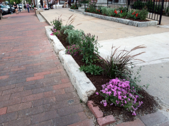 The area outside of the Bank of America building in Elm Street was landscaped following complaints from a committee that's following up on the recently updated POCD. Credit: Michael Dinan