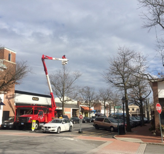 Hutchinson Tree Care removes the white lights from trees on Elm Street in January 2015. Credit: Michael Dinan