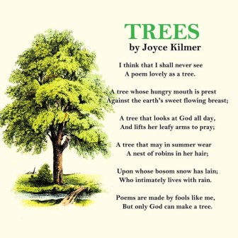 Trees Joyce Kilmer