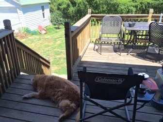 Part of vacation so far has meant sitting out on the back deck with Wilbur, who turned 10 on July 22. 