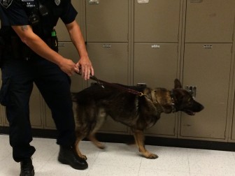 New Canaan Police K-9 Officer David Rivera and drug-sniffing dog Apollo at NCHS on Aug. 26, 2015. Credit: Michael Dinan
