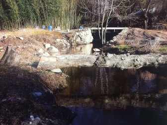 Evidence of violations of wetlands, building and P&Z regulations at 109 Knapp Lane in New Canaan. Department of Land Use photo