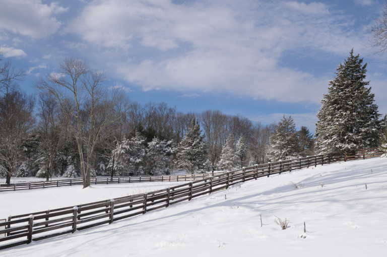 Winter Outing at Grace FarmsNewCanaanite.com