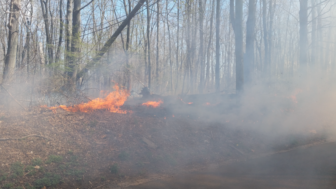 New Canaan firefighters contain a brush fire in the area of 337 Canoe Hill Road on April 19, 2016. Photo published with permission from its owner