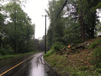 Some residents on Laurel Road are raising concerns about the extent to which a utility company is removing trees. Credit: Michael Dinan