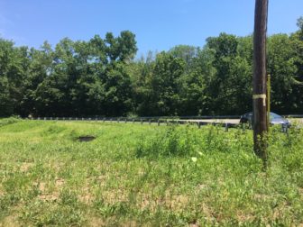 Green thumbs in New Canaan, including Mose Saccary, are trying to figure out just why the wildflower meadow at Route 123 and Parade Hill Road hasn't taken yet this summer. Credit: Michael Dinan