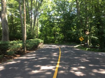 The curve near 100 Greenley Road in New Canaan. Credit: Michael Dinan