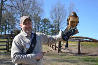 Mark Fowler with a red tailed hawk at Grace Farms. Courtesy of Grace Farms Foundation © Adam Thatcher