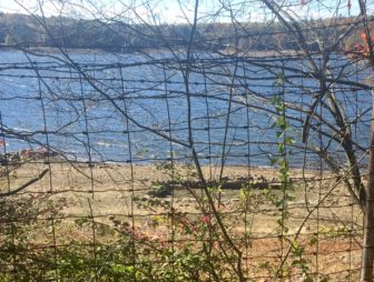A foundation of a home that once formed the (drowned) "lost" village of Dantown in New Canaan has been made visible in the Laurel Reservoir due to a recent drought. Terry Dinan photo