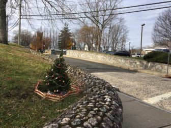 The "littlest Christmas tree" in New Canaan appeared recently, as it has in past years, at Maple and Main Streets downtown. Credit: Michael Dinan