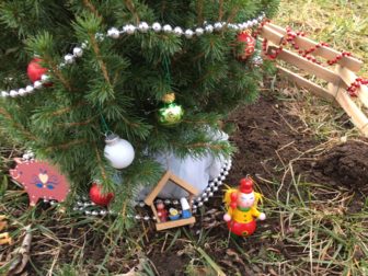 A close-up of the "littlest Christmas tree" in New Canaan. Credit: Michael Dinan