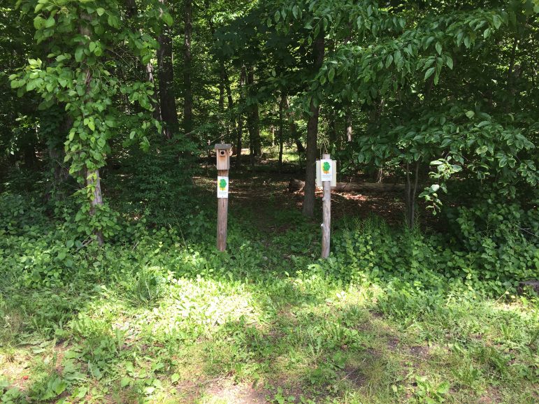 ‘It Means So Much’ New Canaan Land Trust’s Acquisition of Fowler