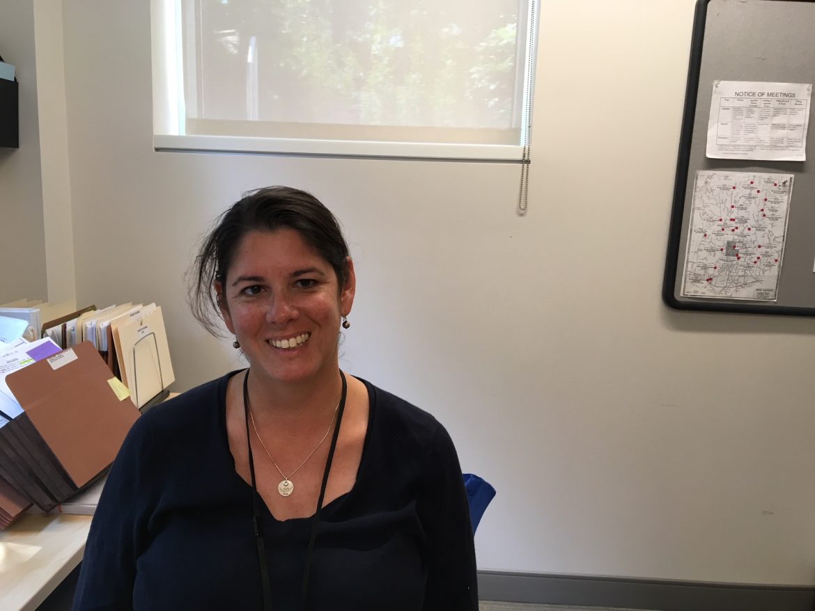 Meet Lynn Brooks Avni, the New Town Planner