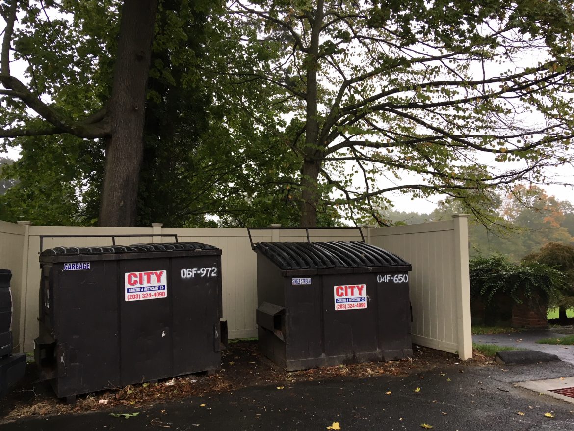 Town Officials Call for Less Conspicuous Garbage Dumpsters in Parks ...