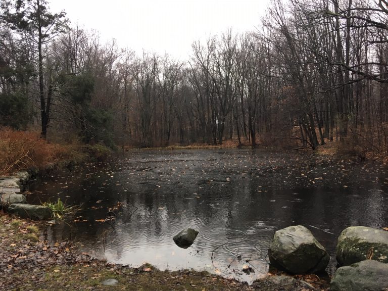 Waveny Pond Dredging, New Observation Deck and Trail Coming This Summer ...