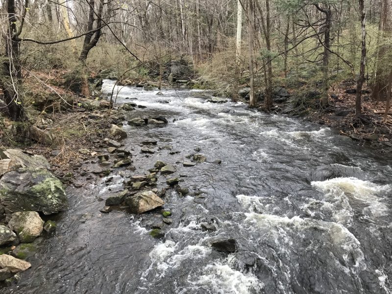 Expanded Bacteria-Testing of New Canaan’s Rivers Proposed ...