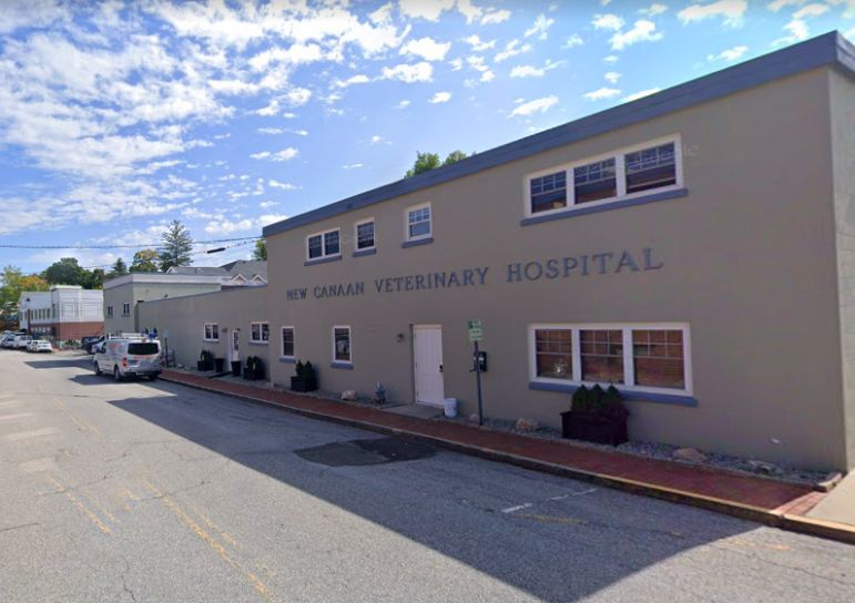 Local Businesses and COVID19 New Canaan Veterinary Hospital