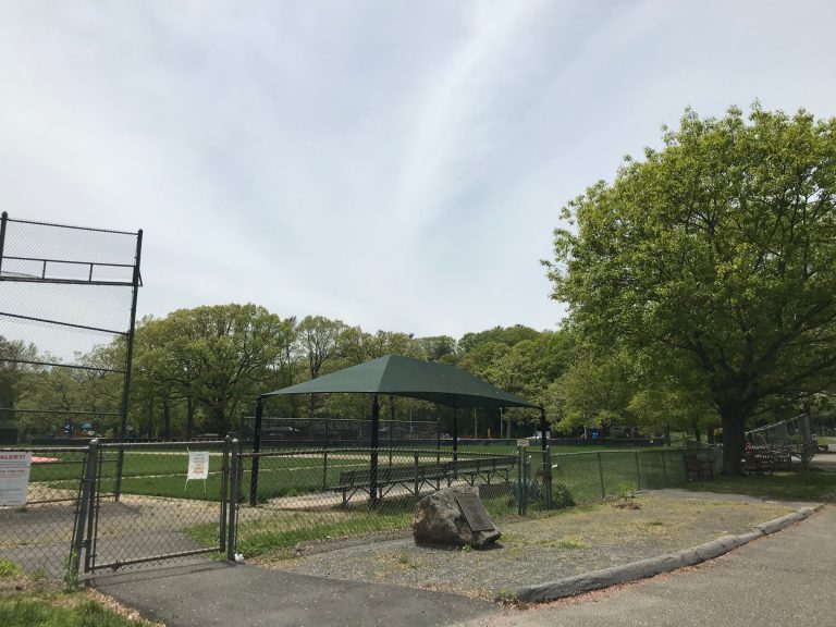 Town To Fix Problem Where Foul Balls Strike Vehicles at Mead Park