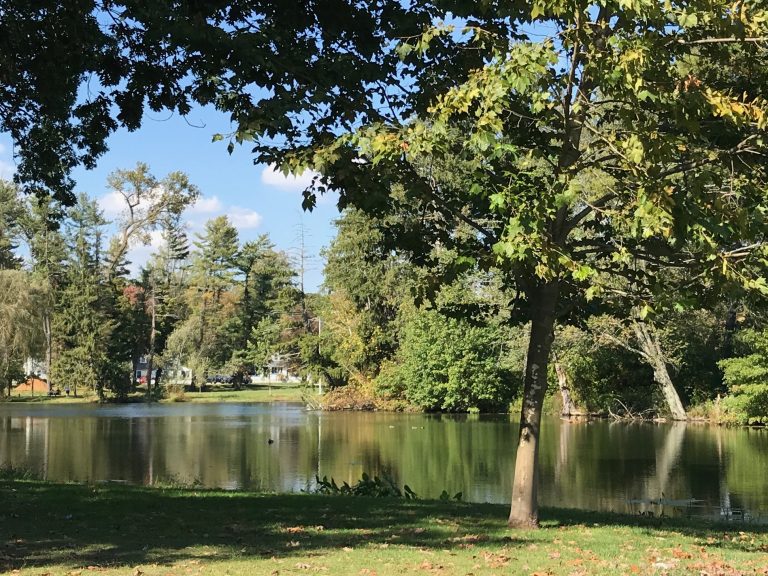 Selectmen OK Contract To Keep Geese out of Mead Park